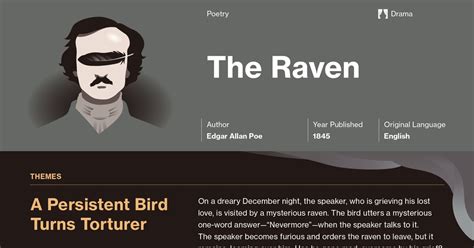 Magci the raven infographics